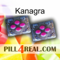 Kanagra 01